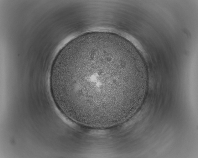 X0000112361237200908131448