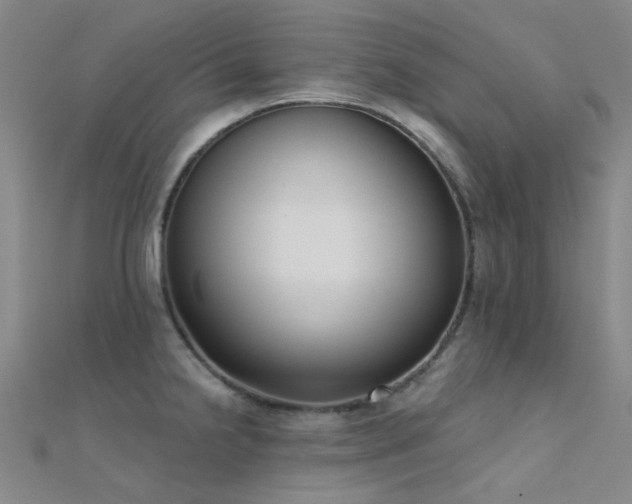 X0000112361238200908131448