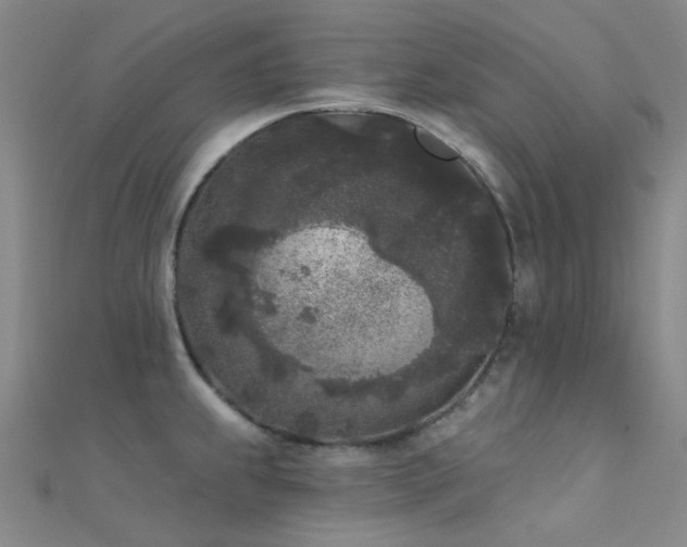 X0000112361239200908131448