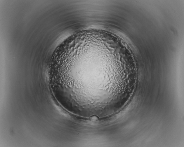 X0000112361241200908131448