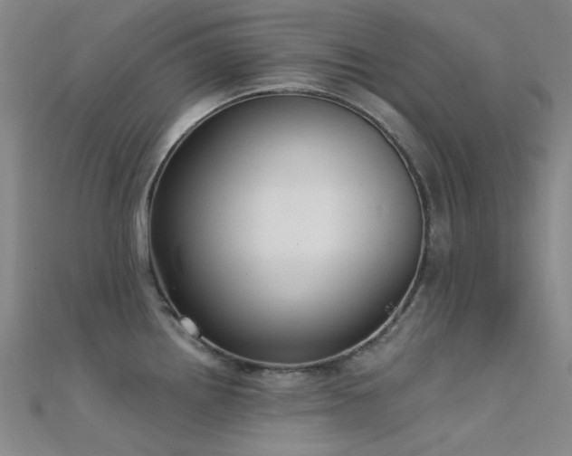 X0000112361242200908131448