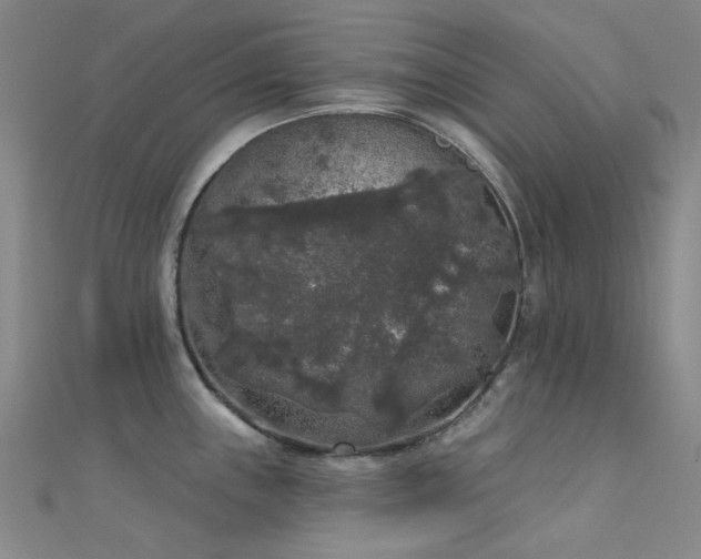 X0000112361243200908131448
