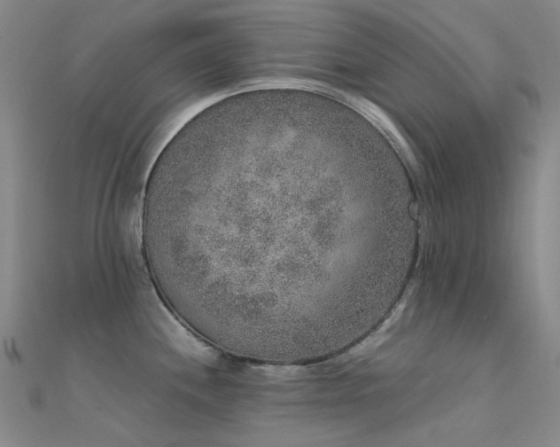 X0000112361244200908131449