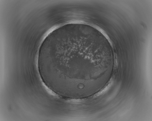 X0000112361245200908131449
