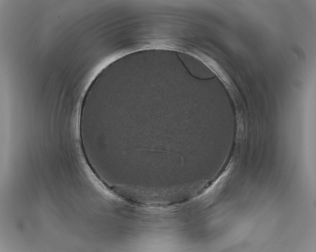 X0000112361246200908131449
