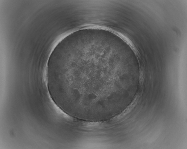 X0000112361247200908131449