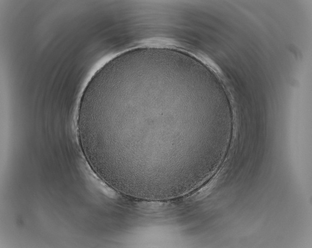 X0000112361248200908131449