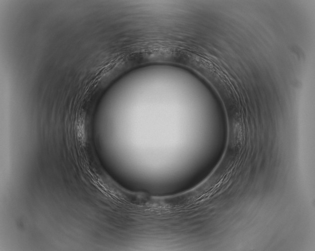 X0000112361250200908131448
