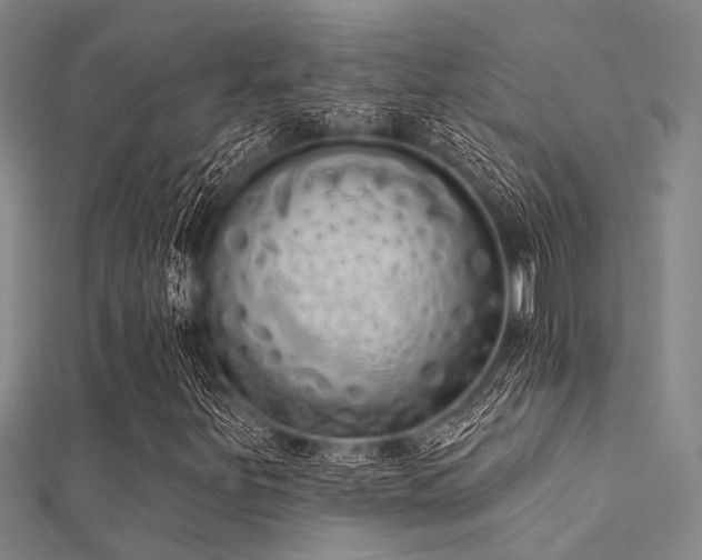 X0000112361251200908131448