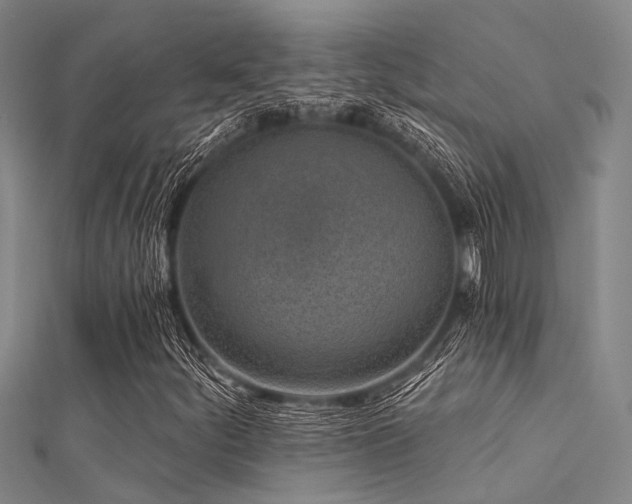 X0000112361252200908131448