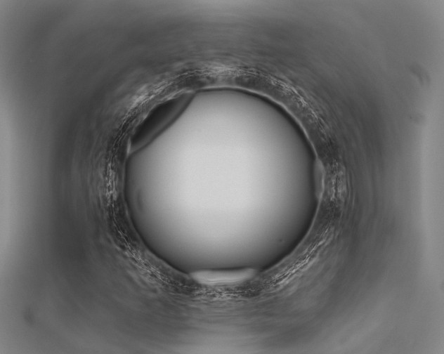 X0000112361253200908131448