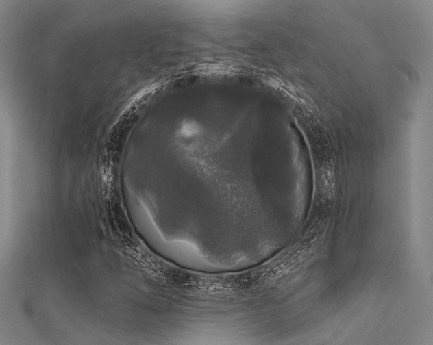 X0000112361254200908131448