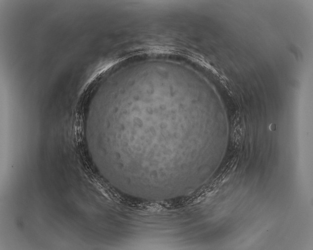 X0000112361255200908131448