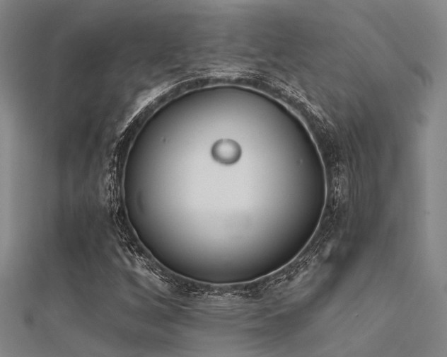 X0000112361256200908131448
