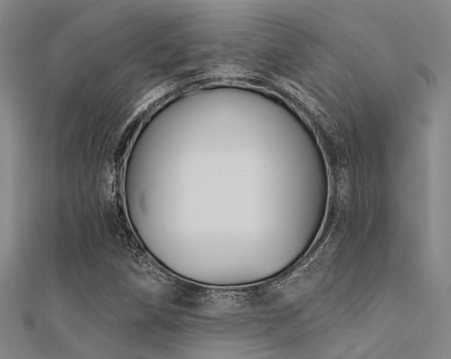 X0000112361258200908131448