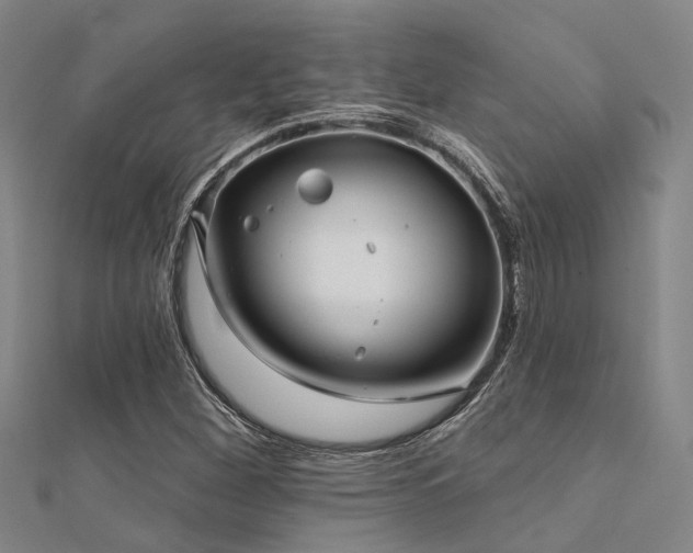 X0000112361260200908131448