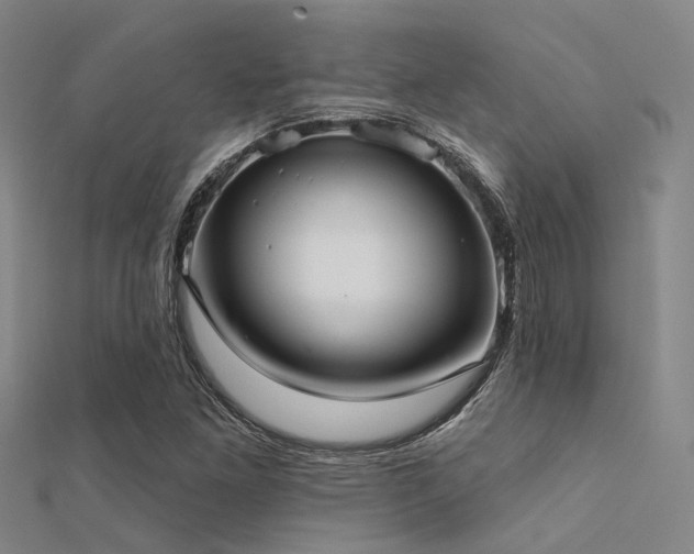 X0000112361261200908131448