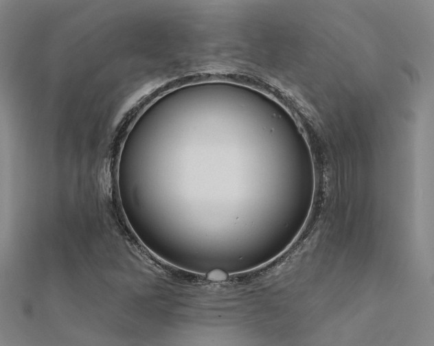 X0000112361262200908131448
