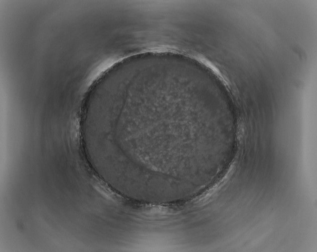 X0000112361263200908131448