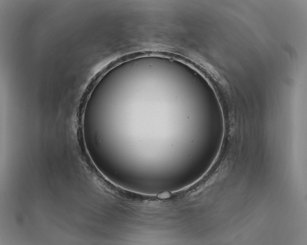 X0000112361264200908131448