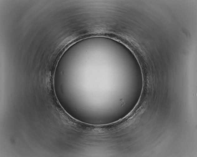 X0000112361265200908131448