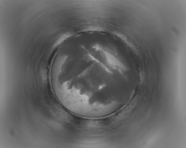 X0000112361266200908131448