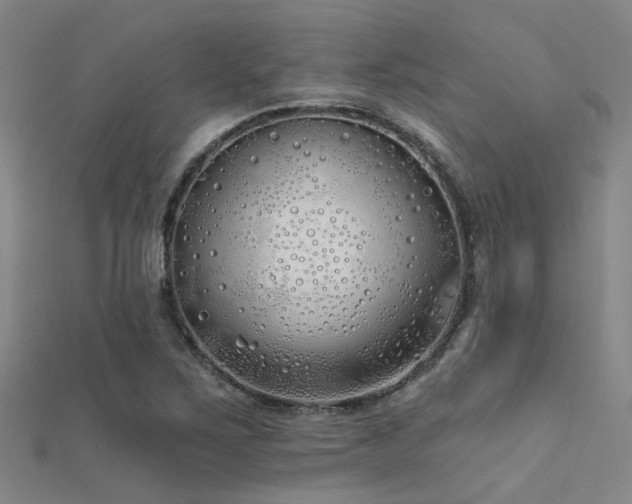 X0000112361267200908131448