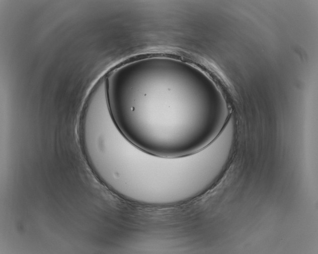 X0000112361268200908131448