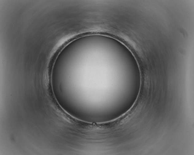 X0000112361270200908131447