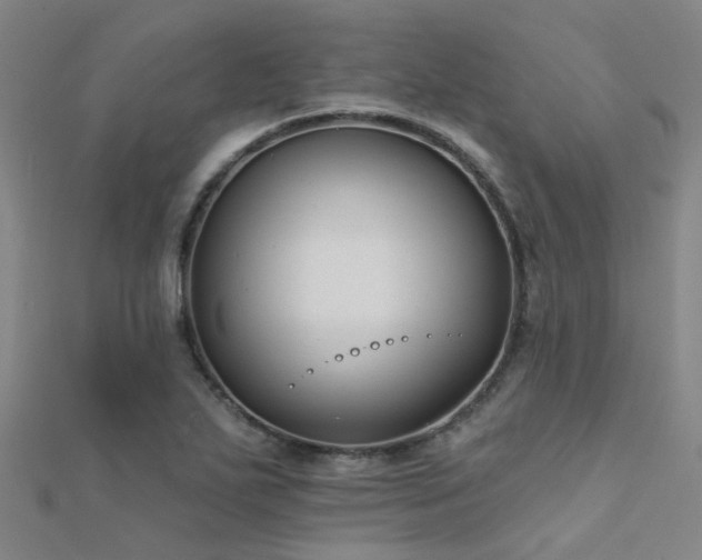 X0000112361271200908131447