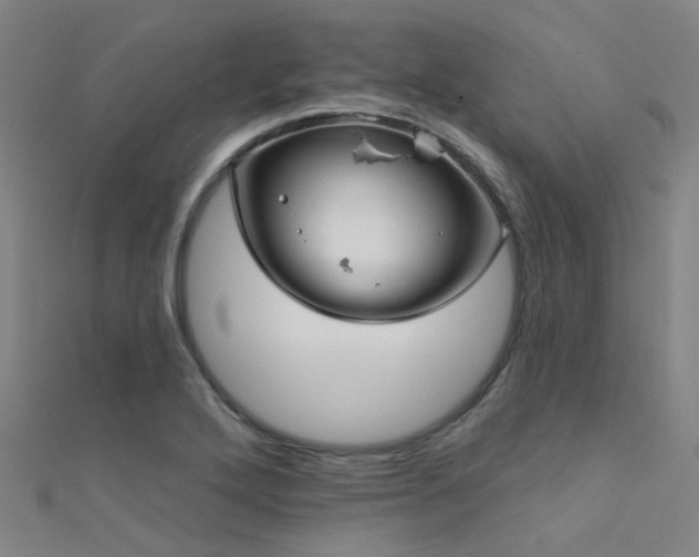 X0000112361272200908131447