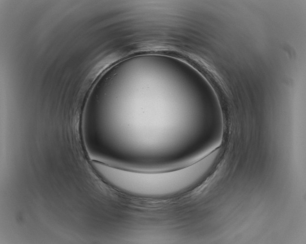 X0000112361273200908131447