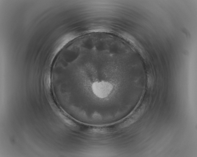 X0000112361274200908131447