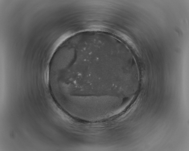 X0000112361275200908131447