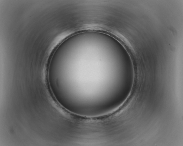 X0000112361277200908131447