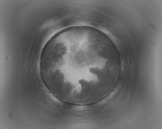 X0000112361278200908131447