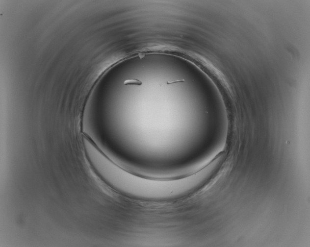 X0000112361281200908131447