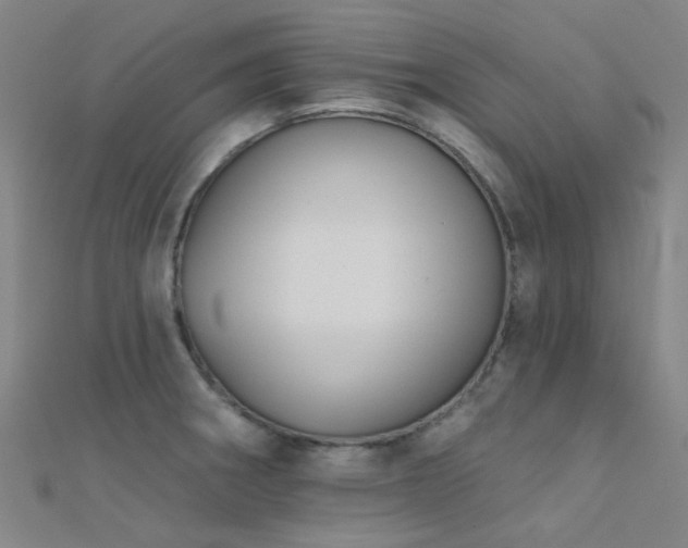 X0000112361282200908131447