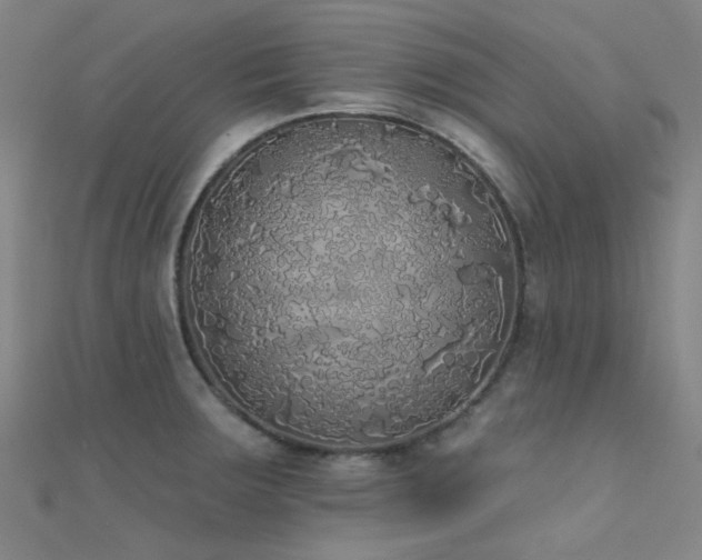 X0000112361283200908131447