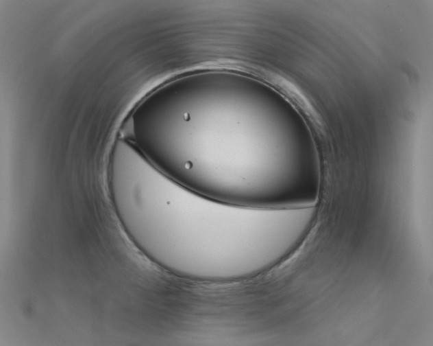 X0000112361284200908131447