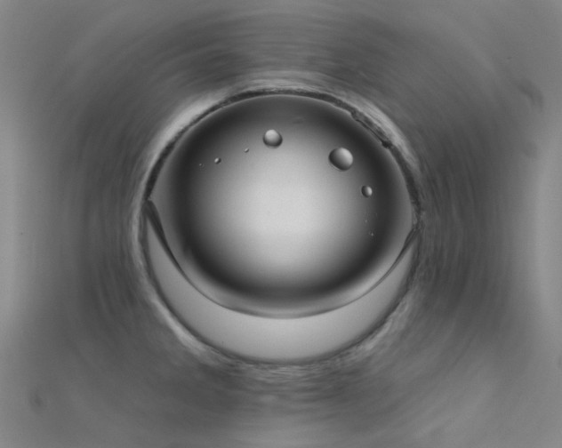 X0000112361285200908131447