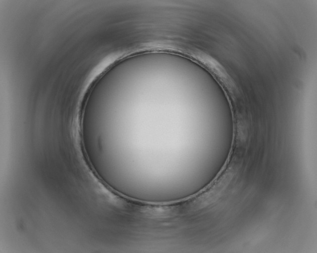 X0000112361286200908131447