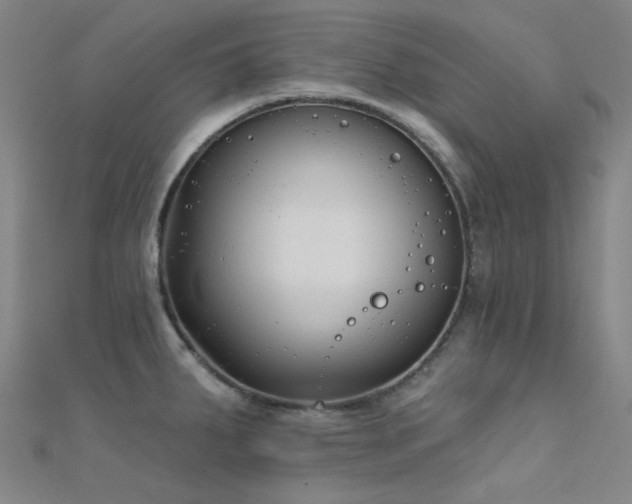 X0000112361287200908131447