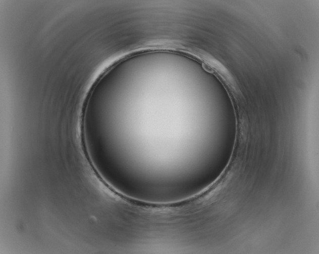 X0000112361288200908131447
