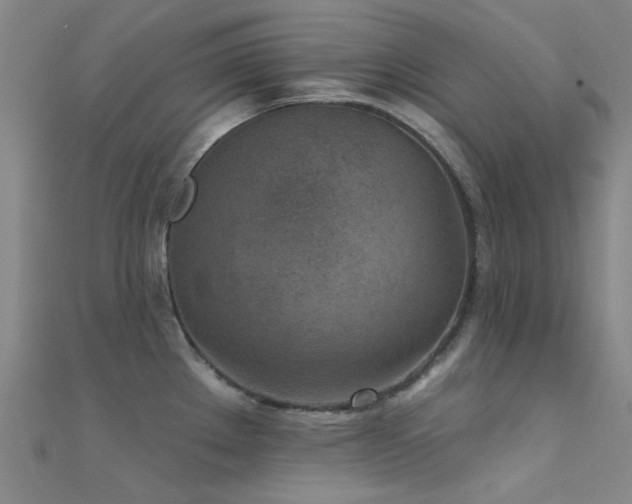 X0000112361289200908131447