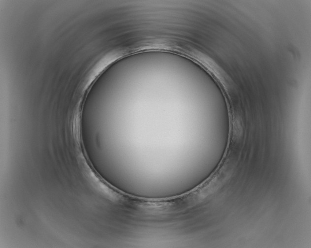 X0000112361290200908131447