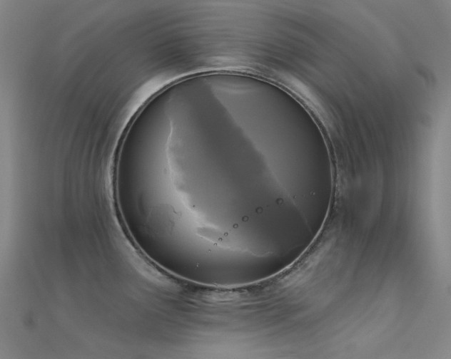 X0000112361291200908131447