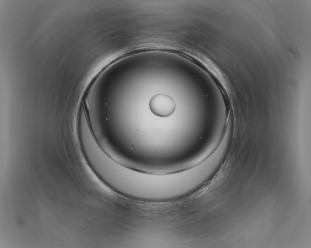 X0000112361293200908131447