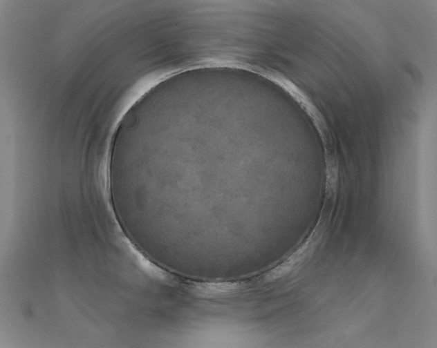 X0000112361294200908131447