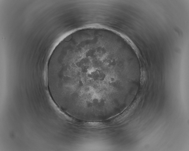 X0000112361295200908131447